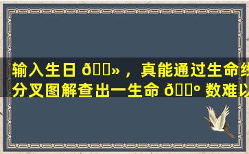 输入生日 🌻 ，真能通过生命线分叉图解查出一生命 🐺 数难以置信！
